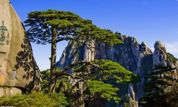 團建|魅力初秋，歡歌同行 -2019鑫創(chuàng)夏令營